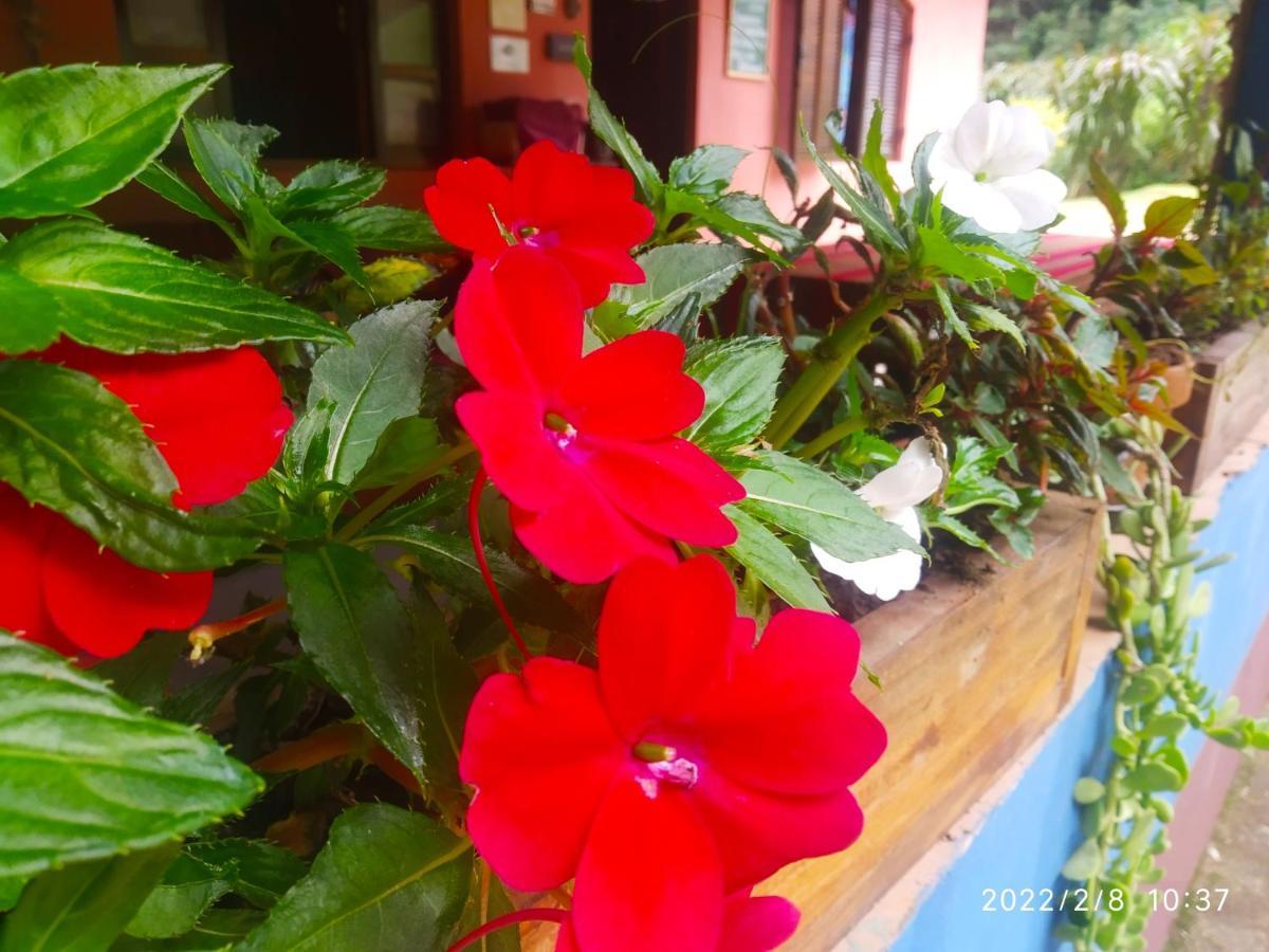 O Brejo Encantado Hospedagem E Hostel Embu Exteriér fotografie